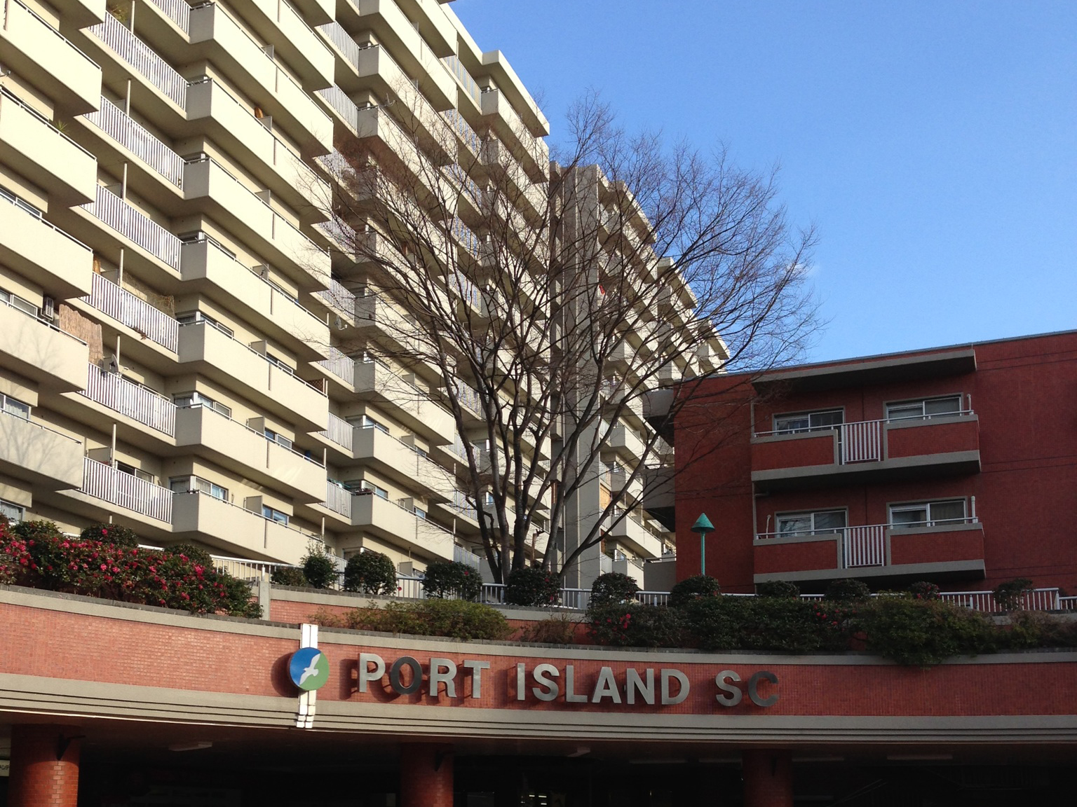 Ever green Port Island 画像2